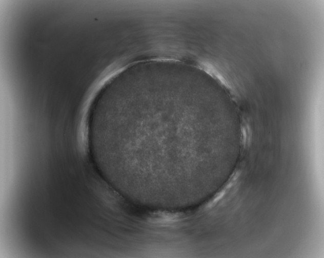 X0000096670343200802121156
