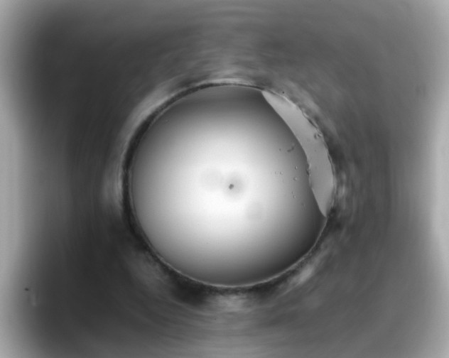 X0000096670344200802121156