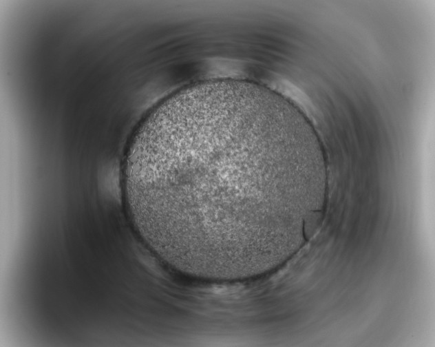 X0000096670345200802121156