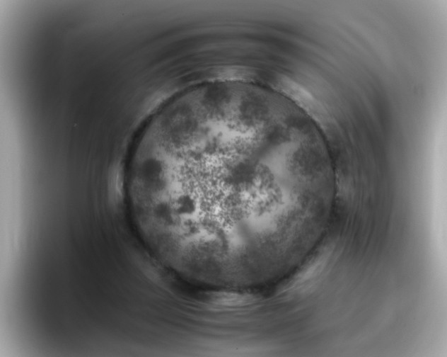 X0000096670347200802121156