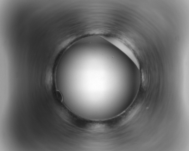 X0000096670348200802121156