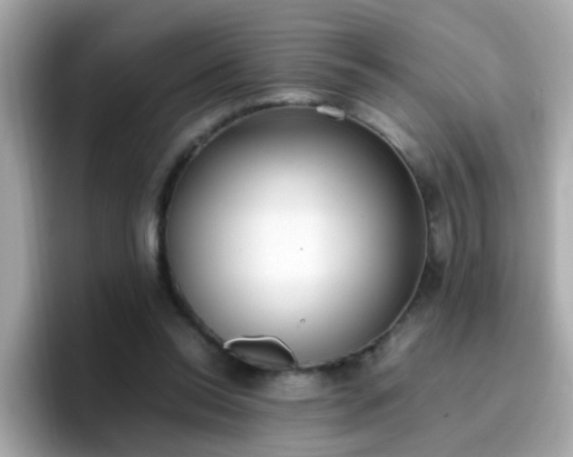 X0000096670350200802121156