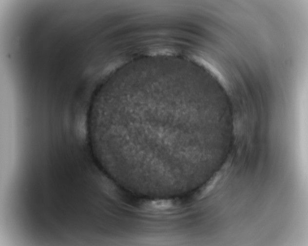 X0000096670353200802121156