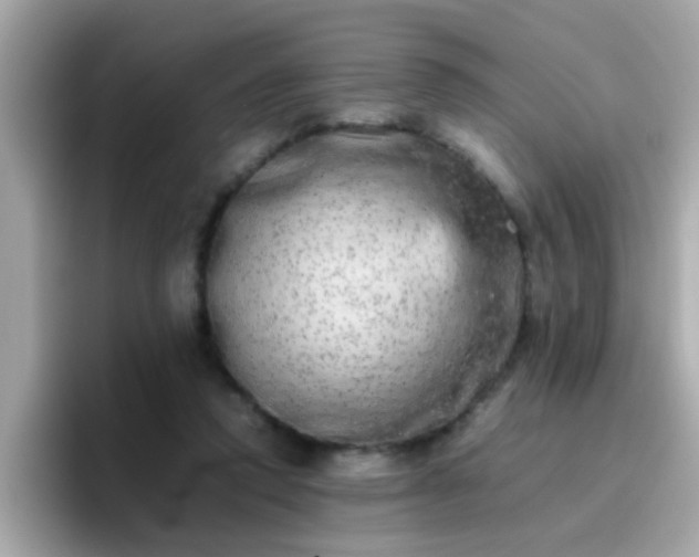 X0000096670354200802121156