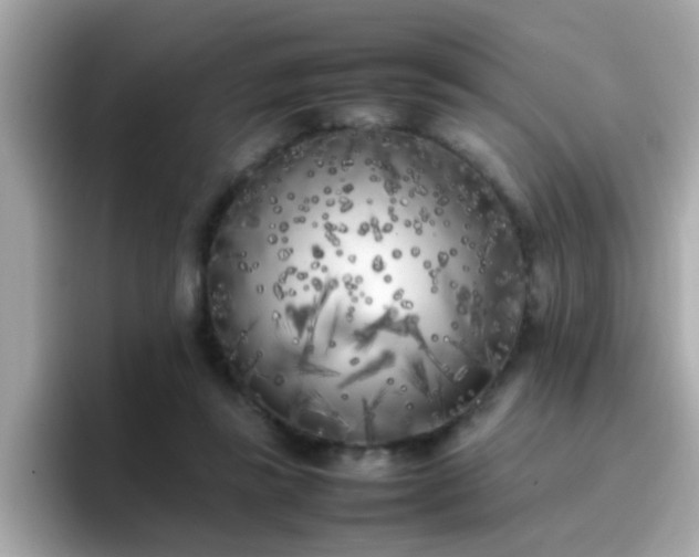 X0000096670355200802121156
