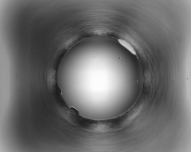 X0000096670356200802121156