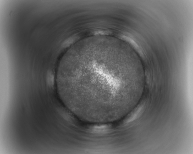 X0000096670357200802121156