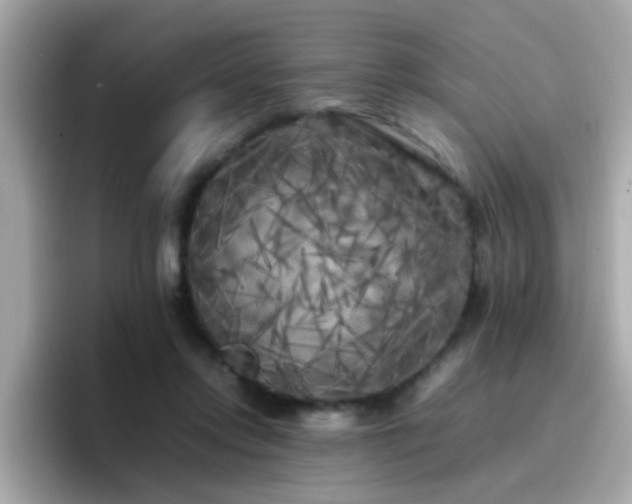 X0000096670358200802121156