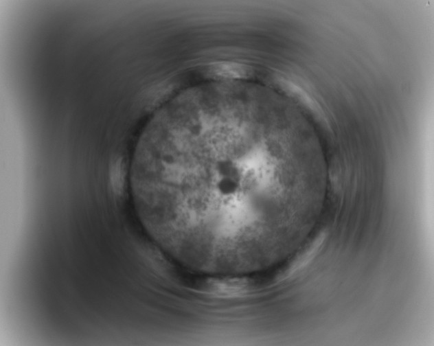 X0000096670359200802121156