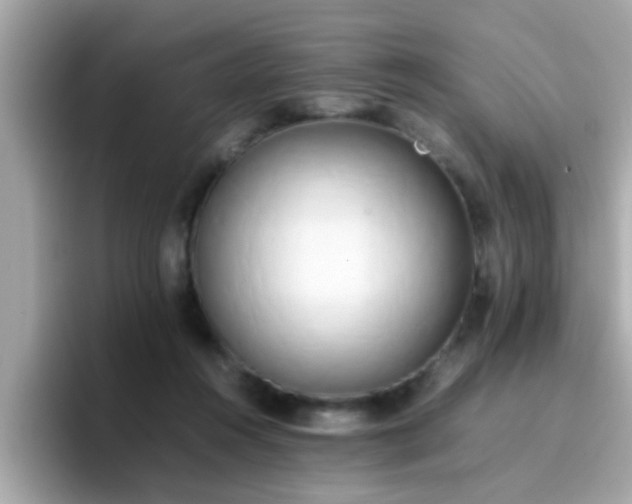 X0000096670360200802121156