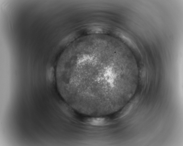 X0000096670361200802121156