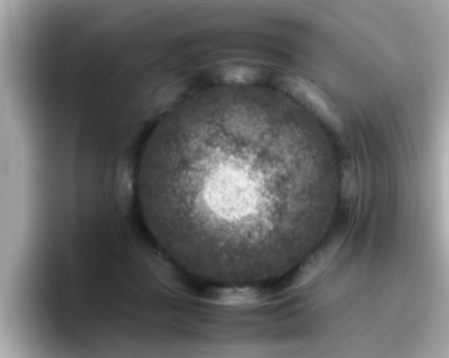 X0000096670363200802121156