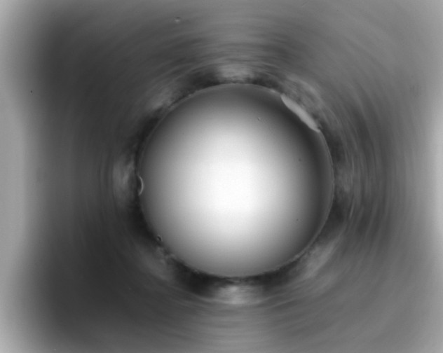 X0000096670364200802121156