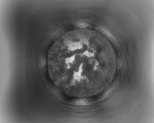 X0000096670365200802121156