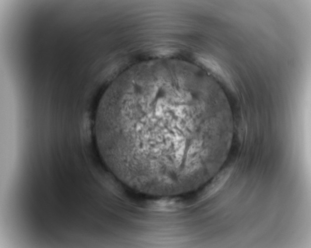 X0000096670366200802121156