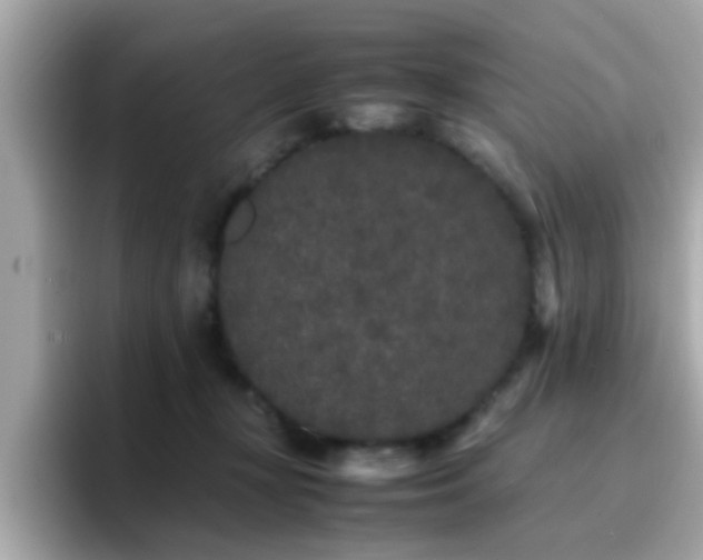 X0000096670367200802121156