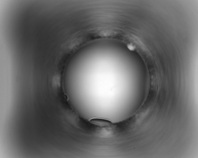 X0000096670368200802121156