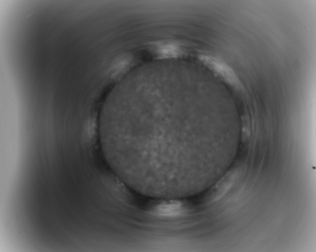 X0000096670369200802121156