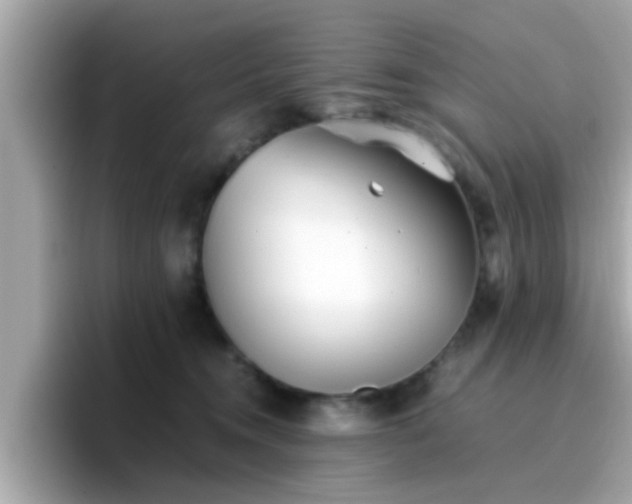 X0000096670372200802121156