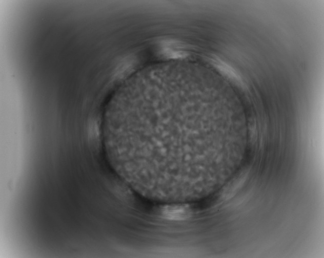 X0000096670373200802121156