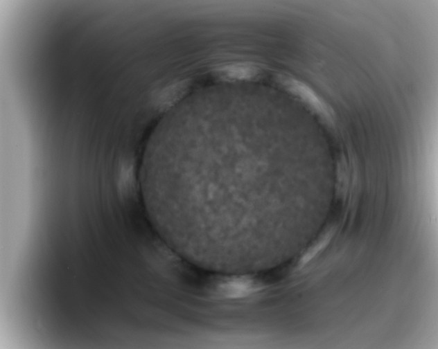 X0000096670377200802121156
