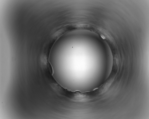 X0000096670380200802121156