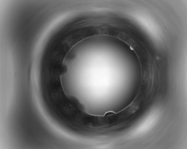 X0000096670383200802121156