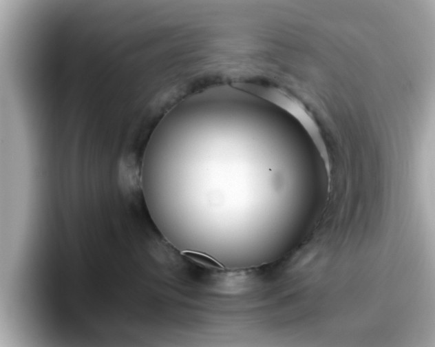 X0000096670384200802121156