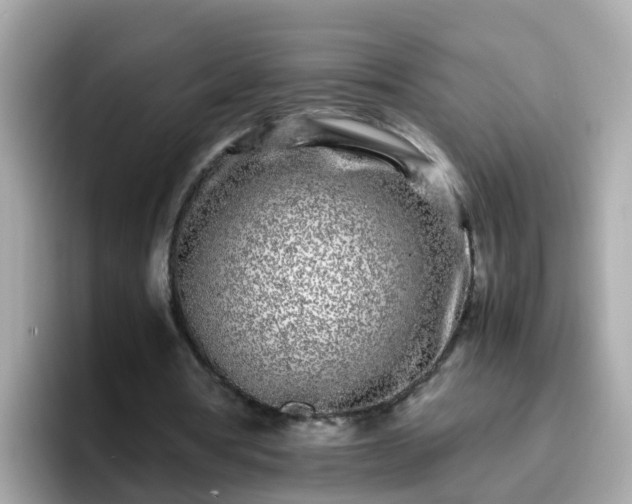 X0000096670386200802121155