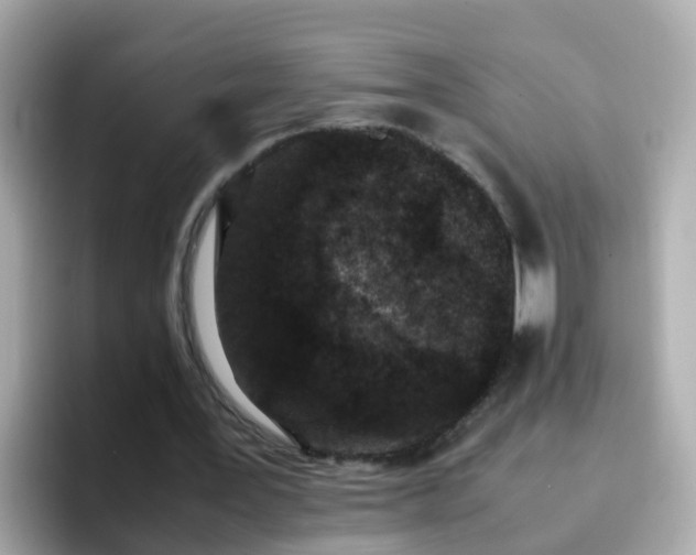 X0000096670387200802121155