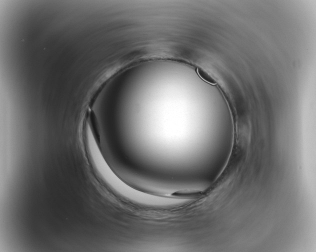 X0000096670389200802121155