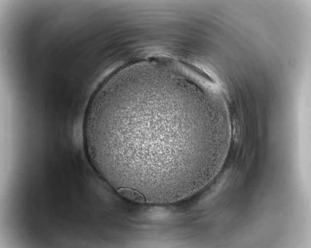X0000096670390200802121155