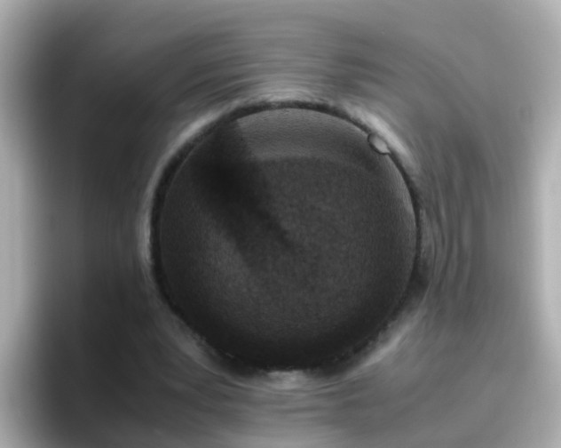 X0000096670391200802121155