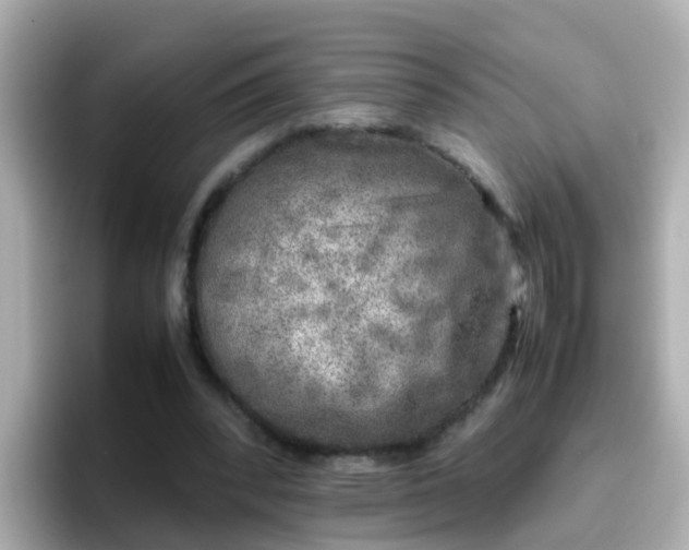 X0000096670392200802121155