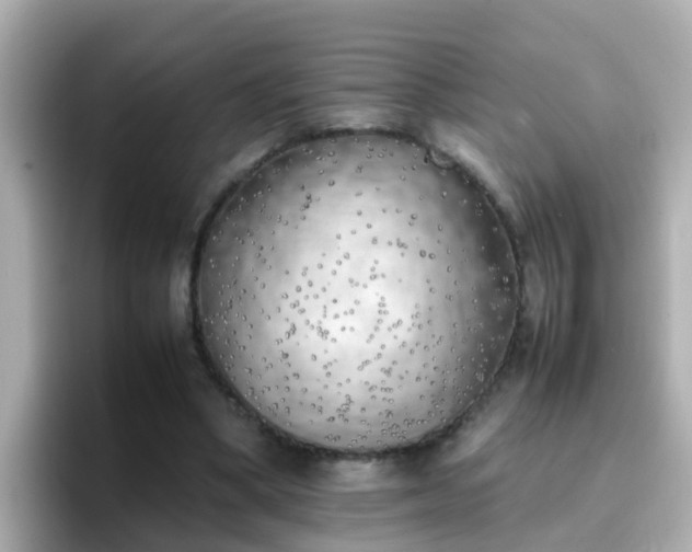 X0000096670394200802121155