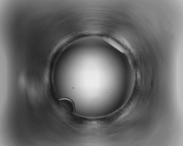 X0000096670396200802121155