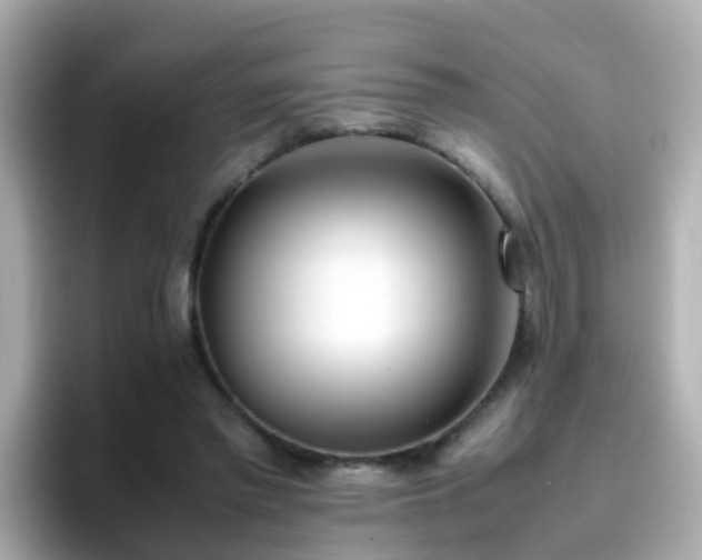 X0000096670397200802121155