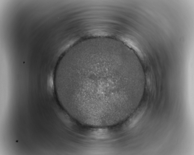 X0000096670398200802121155