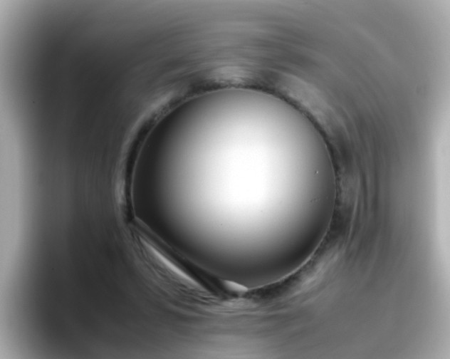 X0000096670399200802121155