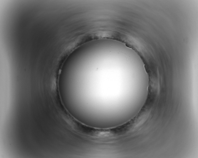 X0000096670401200802121155
