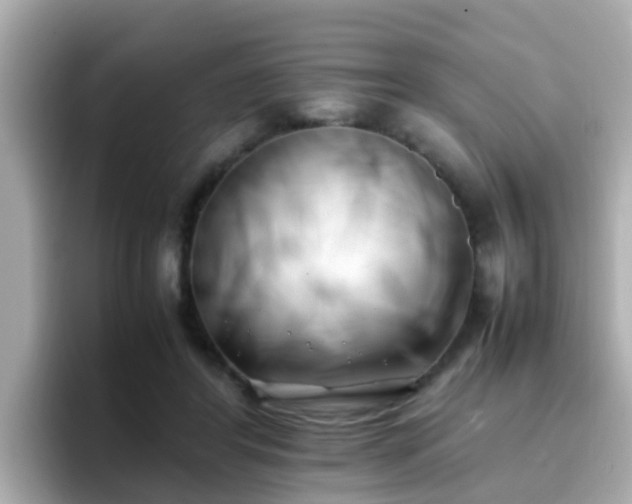 X0000096670404200802121155