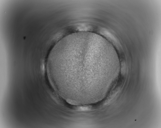 X0000096670405200802121155
