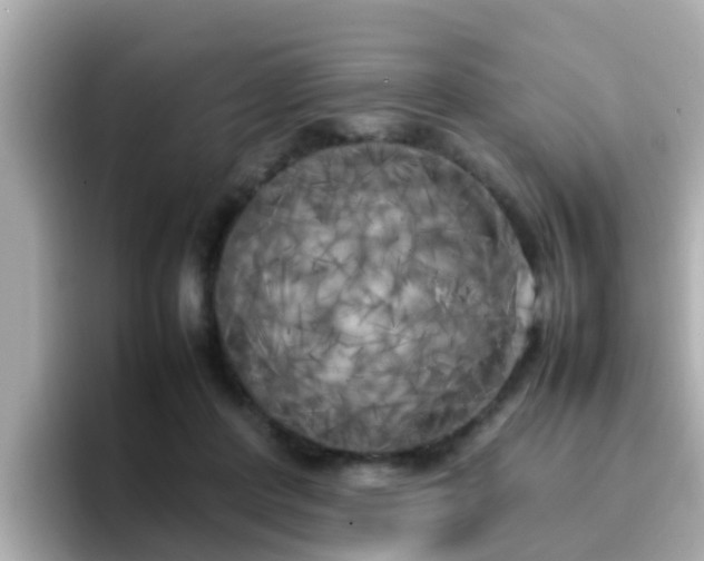 X0000096670408200802121155