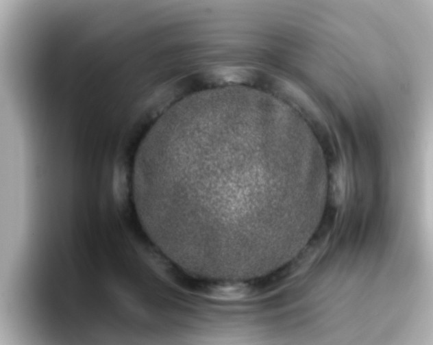 X0000096670410200802121155