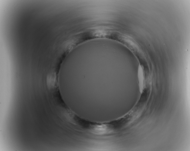 X0000096670411200802121155