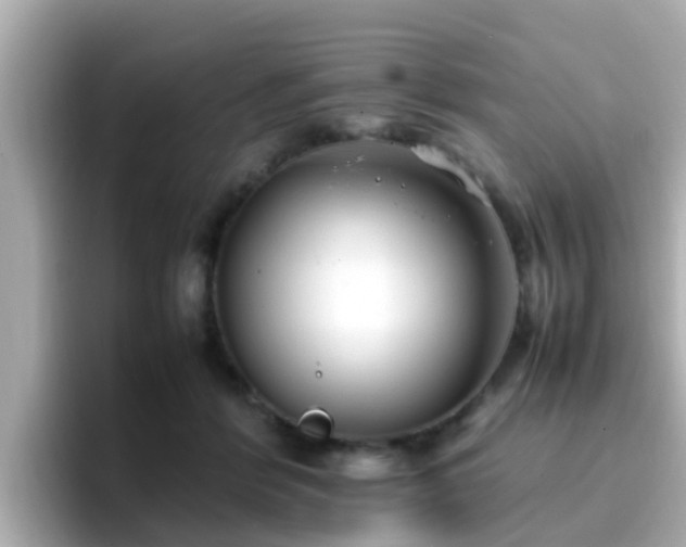 X0000096670412200802121155