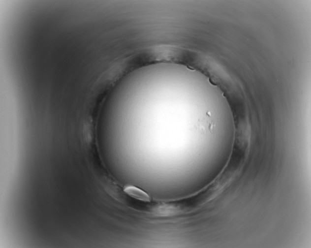 X0000096670413200802121155