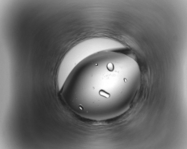 X0000096670415200802121155