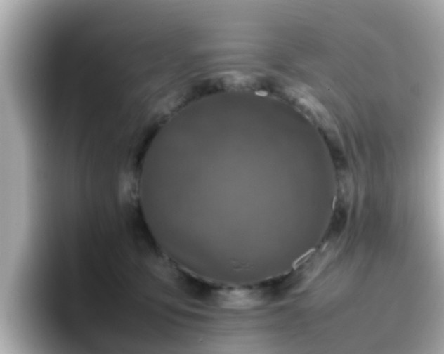X0000096670419200802121155