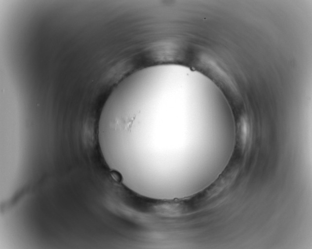 X0000096670422200802121155